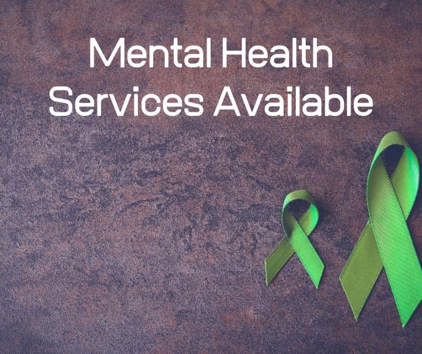 Mental Health Services Graphic